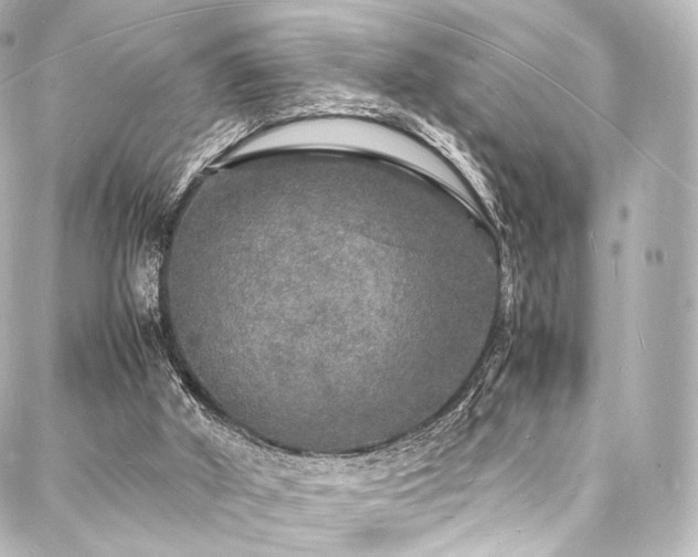 X0000088030010200705111207