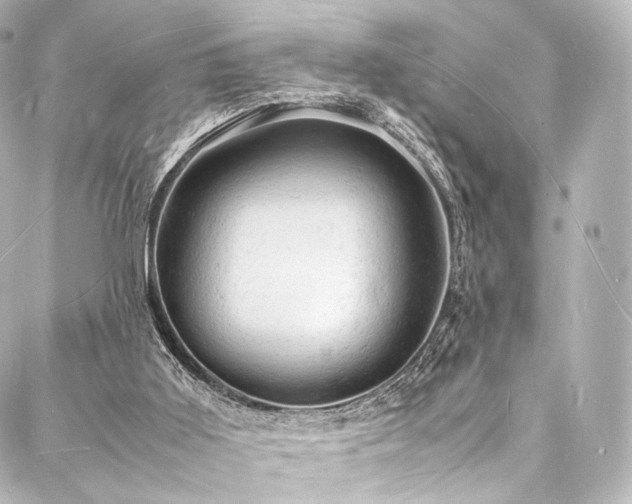 X0000088030011200705111207