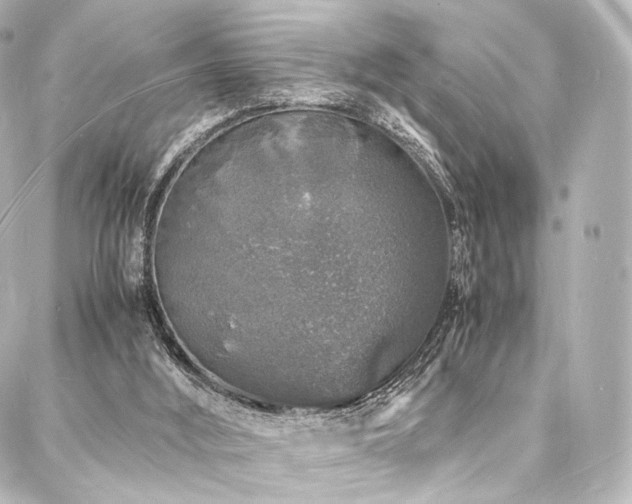 X0000088030012200705111207