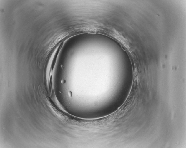 X0000088030013200705111207