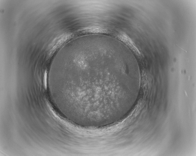 X0000088030014200705111207