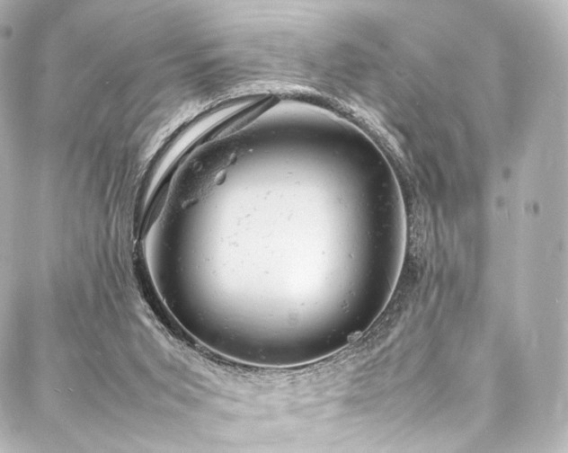 X0000088030015200705111207