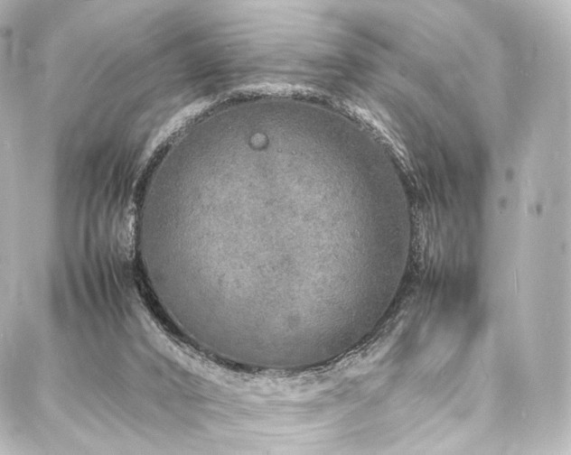 X0000088030016200705111207