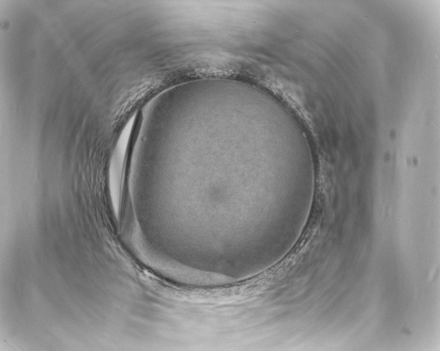 X0000088030017200705111207