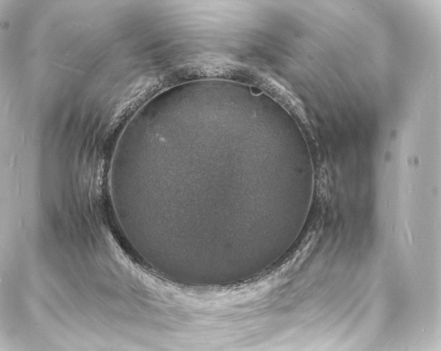 X0000088030018200705111207