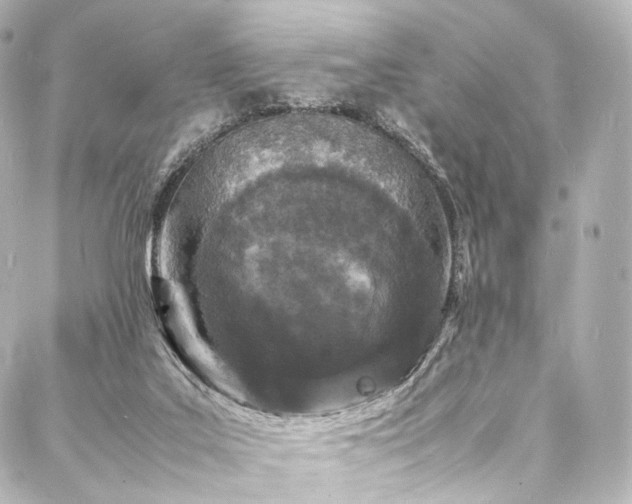 X0000088030019200705111207