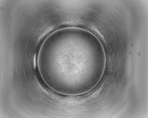 X0000088030020200705111207