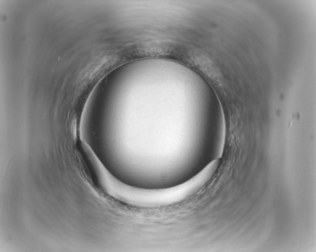 X0000088030021200705111207