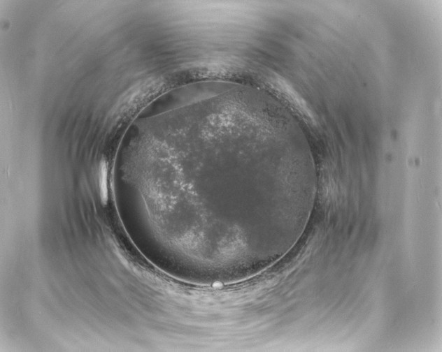 X0000088030022200705111207