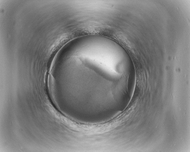 X0000088030023200705111207