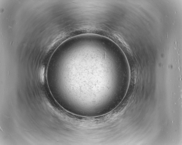 X0000088030024200705111207