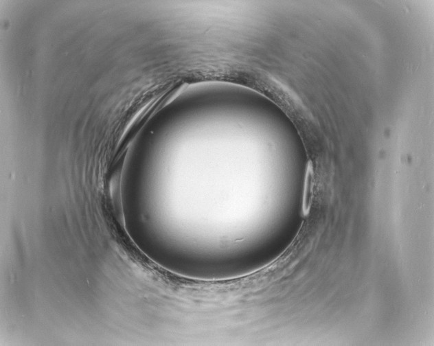 X0000088030025200705111207