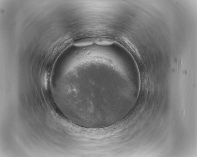 X0000088030026200705111207