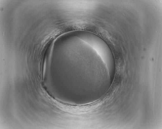 X0000088030027200705111207