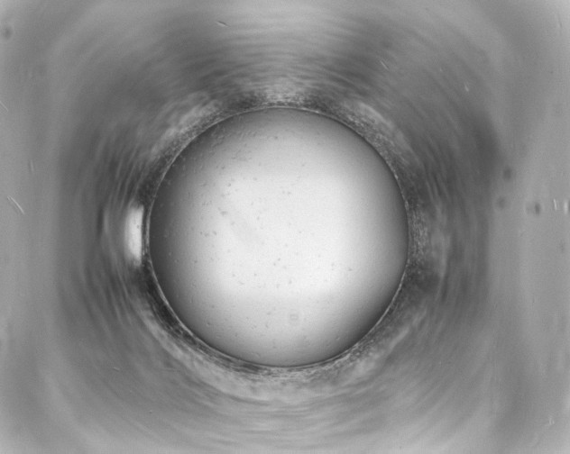 X0000088030028200705111207