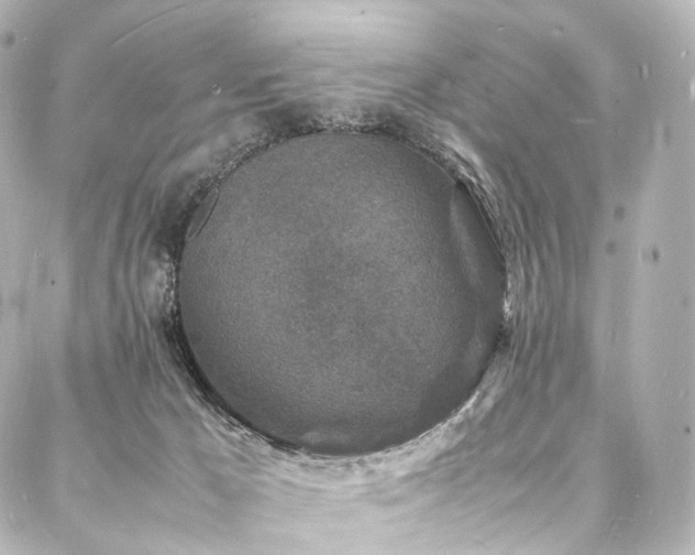 X0000088030029200705111207