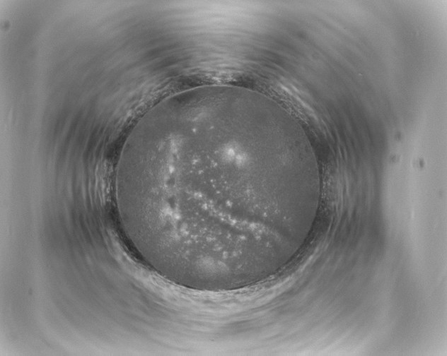 X0000088030030200705111207