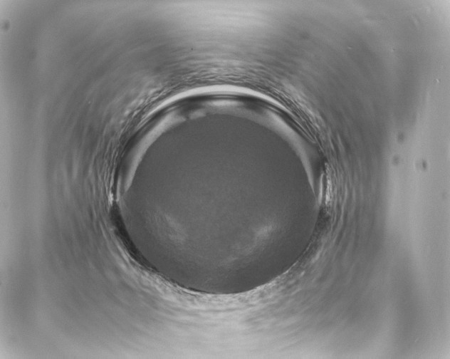 X0000088030031200705111207