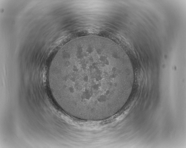 X0000088030032200705111207