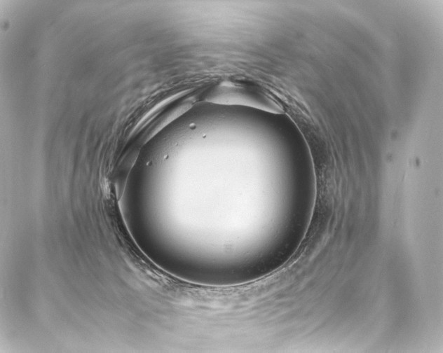 X0000088030033200705111207