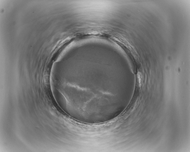 X0000088030035200705111207