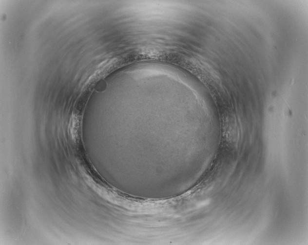 X0000088030036200705111207