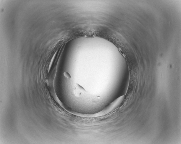 X0000088030037200705111207