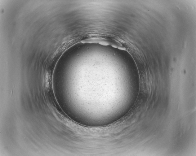 X0000088030038200705111207