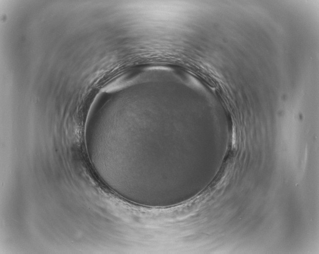 X0000088030039200705111207