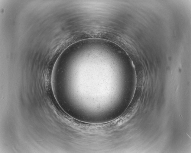 X0000088030040200705111207