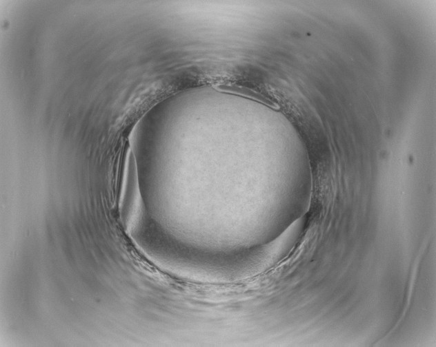 X0000088030041200705111206