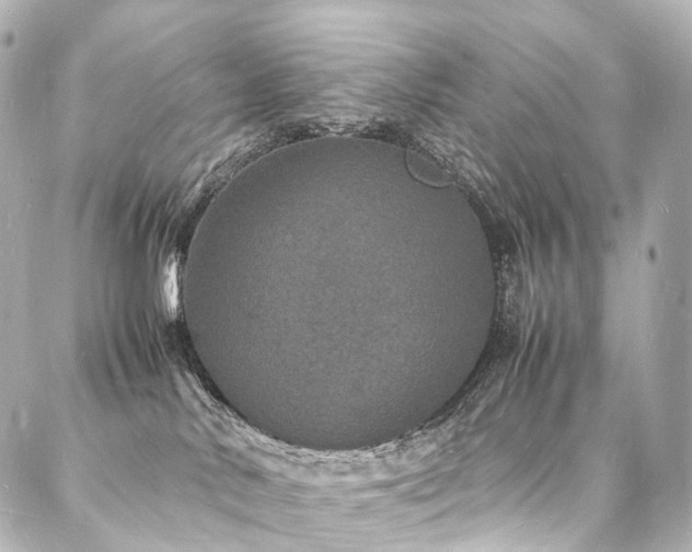 X0000088030042200705111206