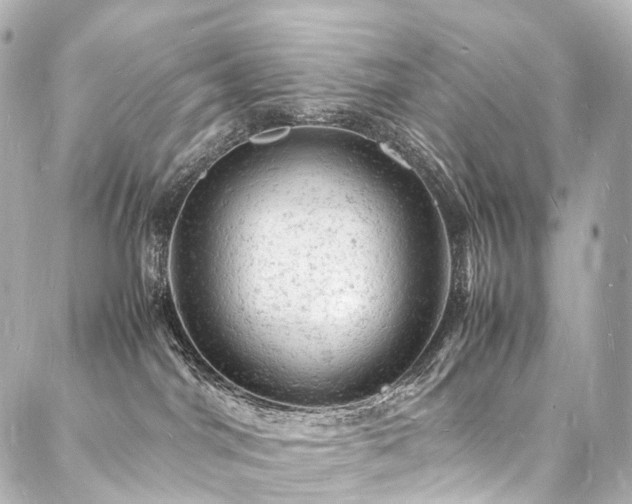 X0000088030044200705111206