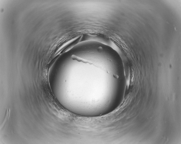 X0000088030045200705111206