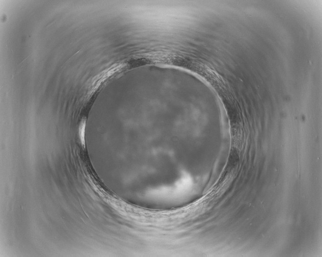 X0000088030047200705111206