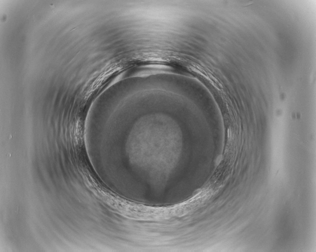 X0000088030048200705111206