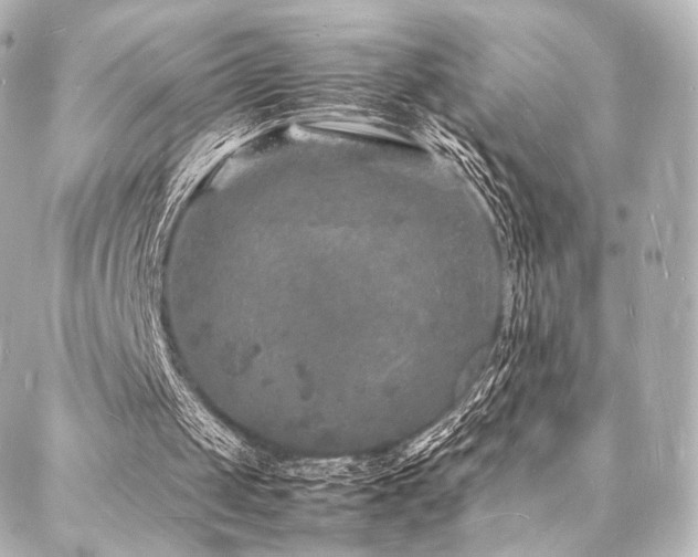 X0000088030049200705111206