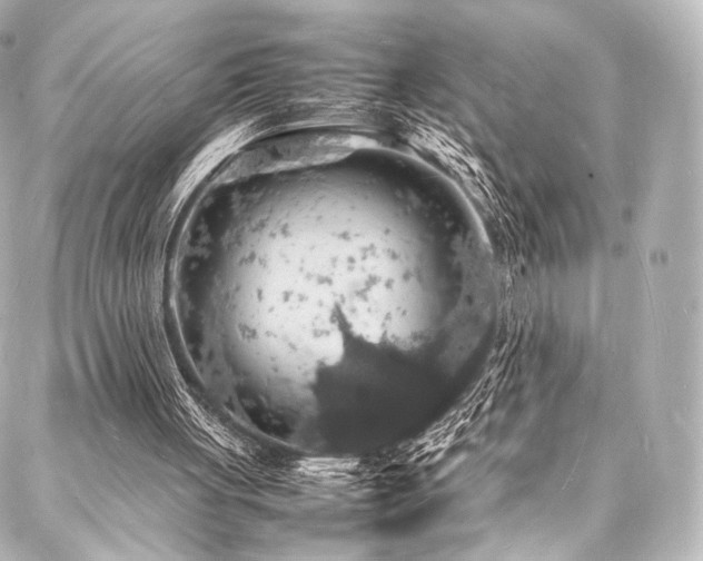 X0000088030051200705111206