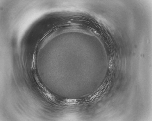 X0000088030052200705111206