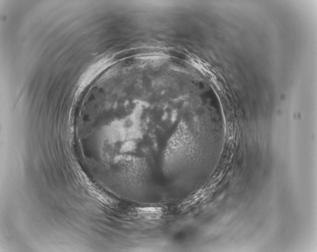 X0000088030053200705111206