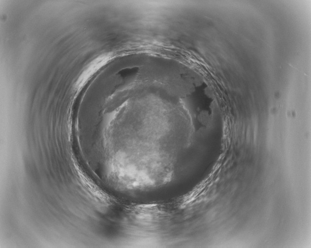 X0000088030054200705111206