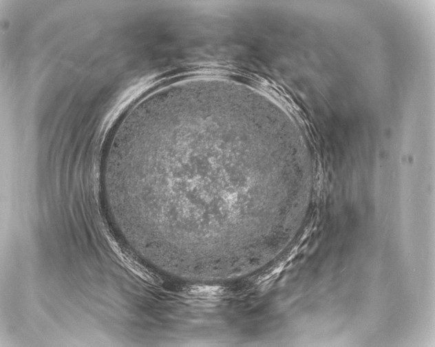 X0000088030055200705111206