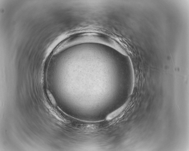 X0000088030056200705111206