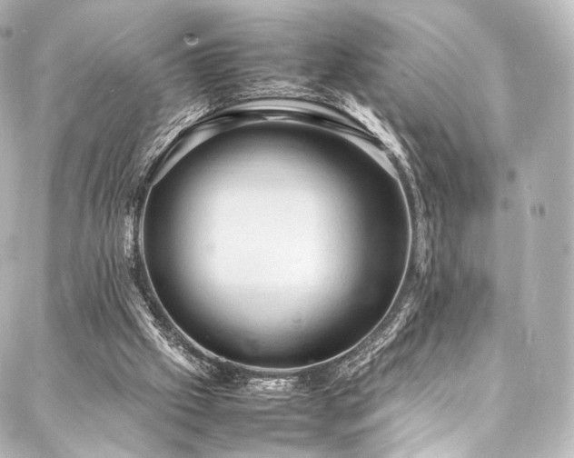 X0000088030057200705111206