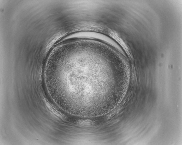 X0000088030058200705111206