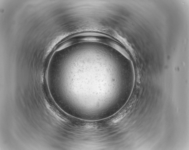 X0000088030060200705111206