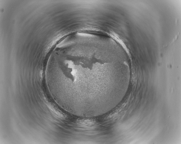 X0000088030063200705111206