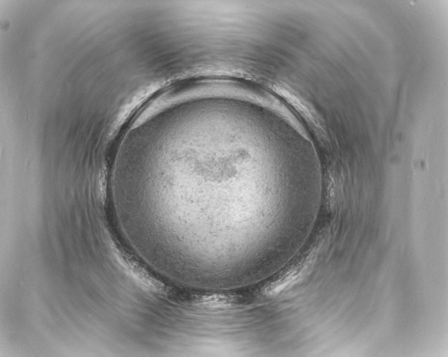 X0000088030064200705111206