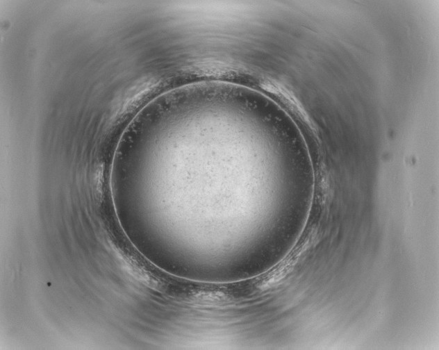 X0000088030066200705111206