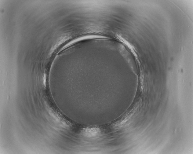 X0000088030067200705111206